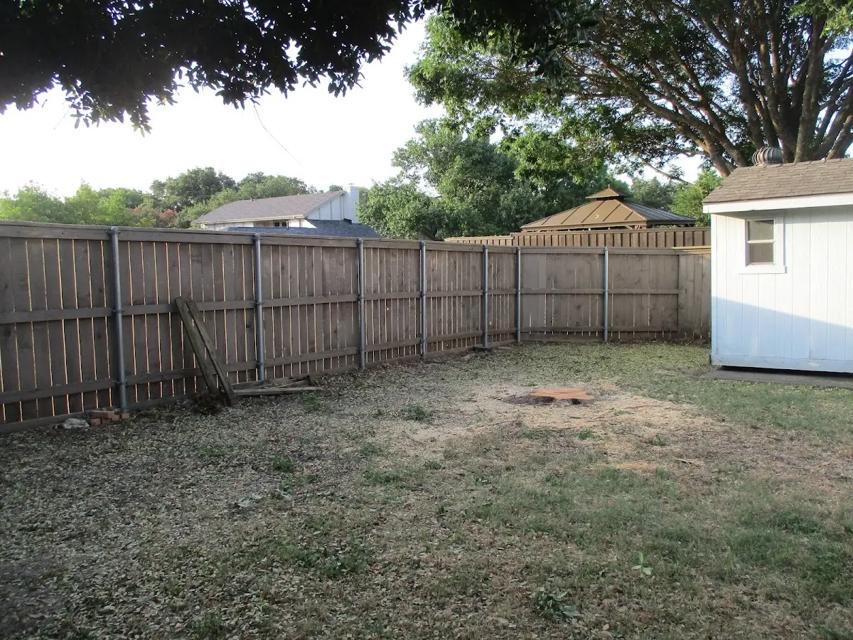 Cleared yard after professional tree removal in Elk Falls